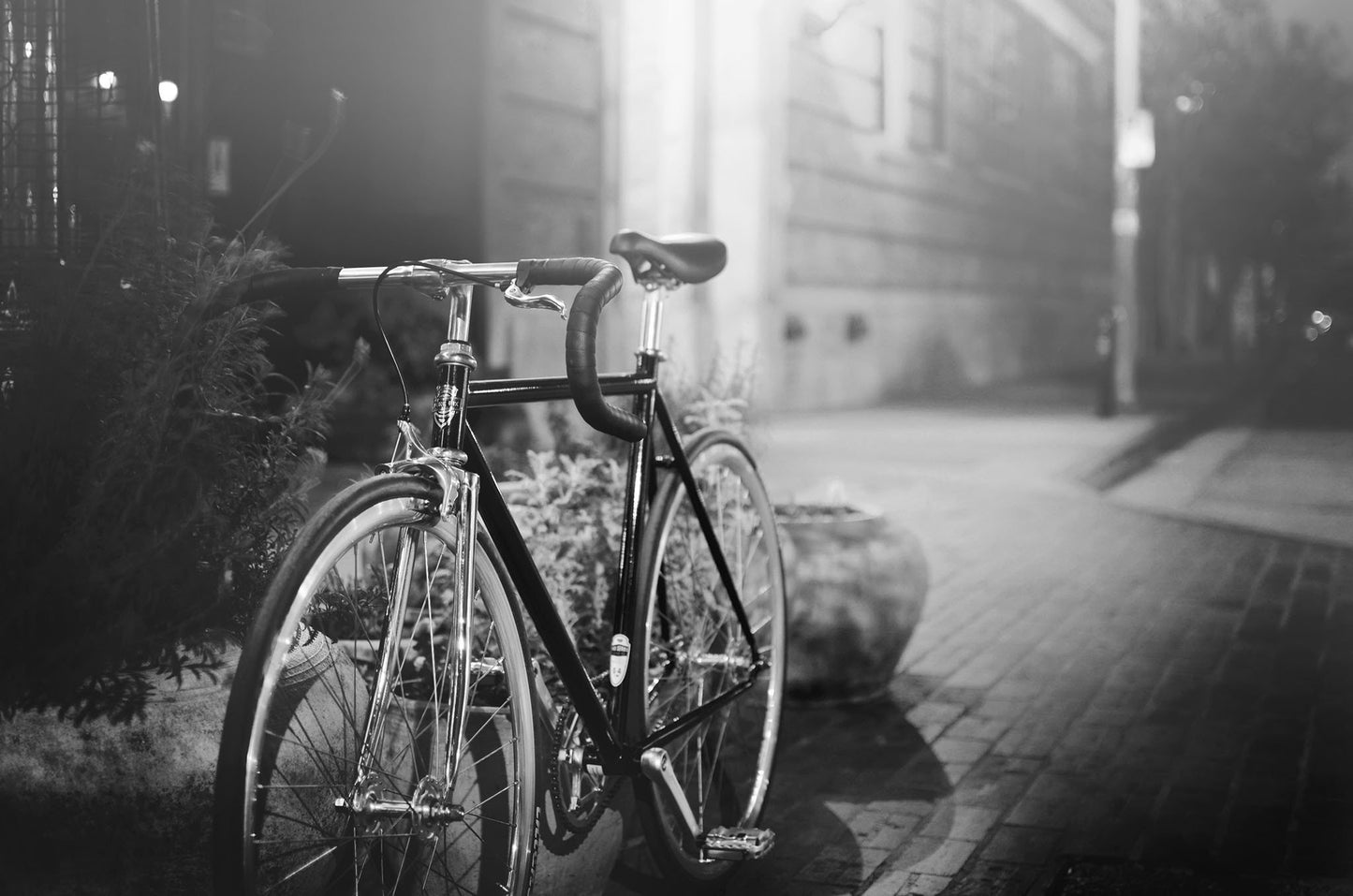 Coolidge Pure Fix Cycles