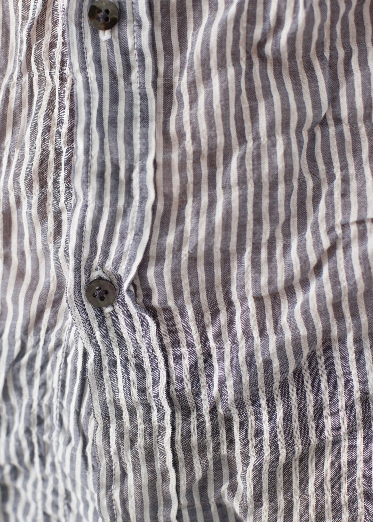 Boy Shirt in Pin Pip-Squeak Chapeau