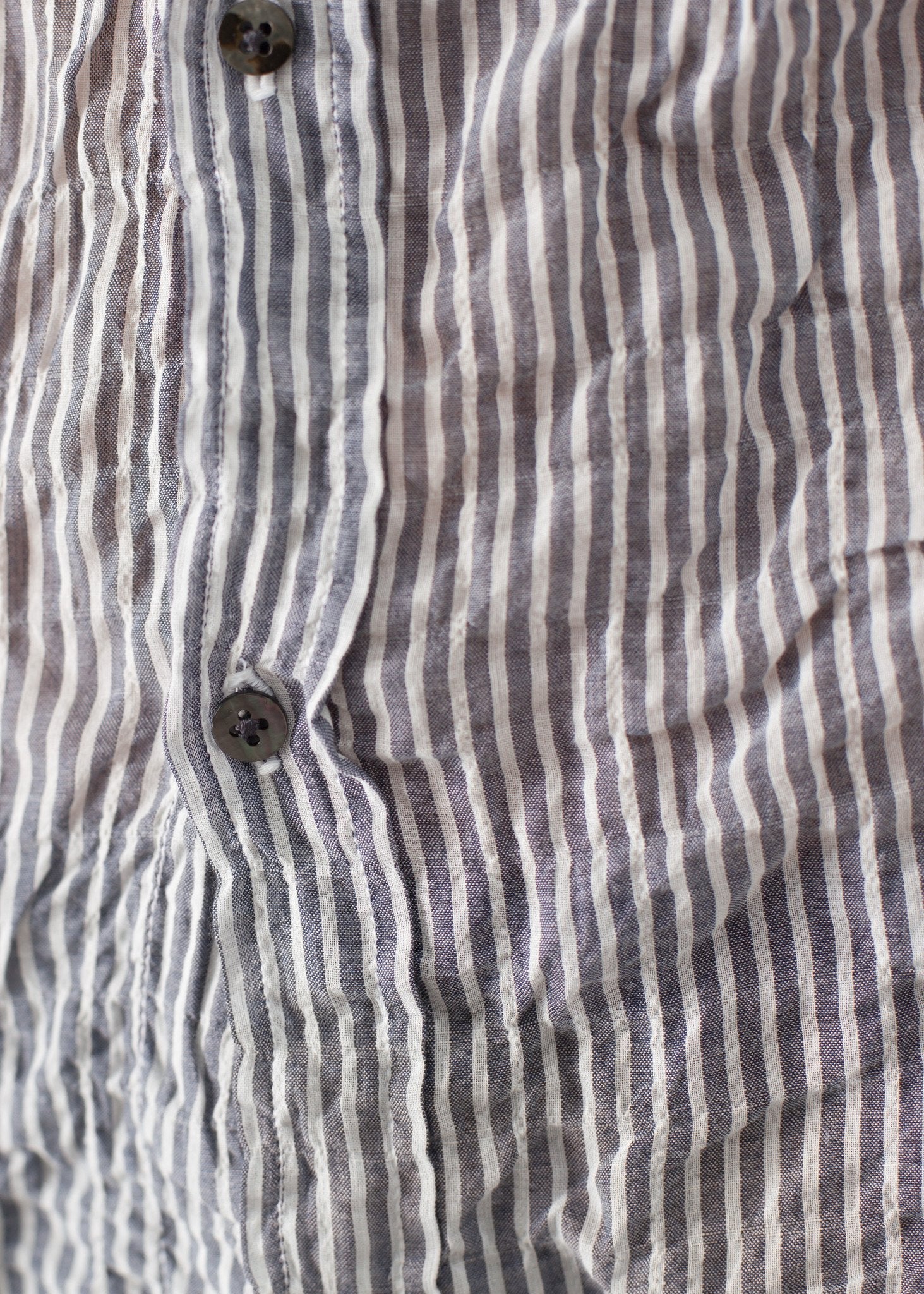 Boy Shirt in Pin Pip-Squeak Chapeau
