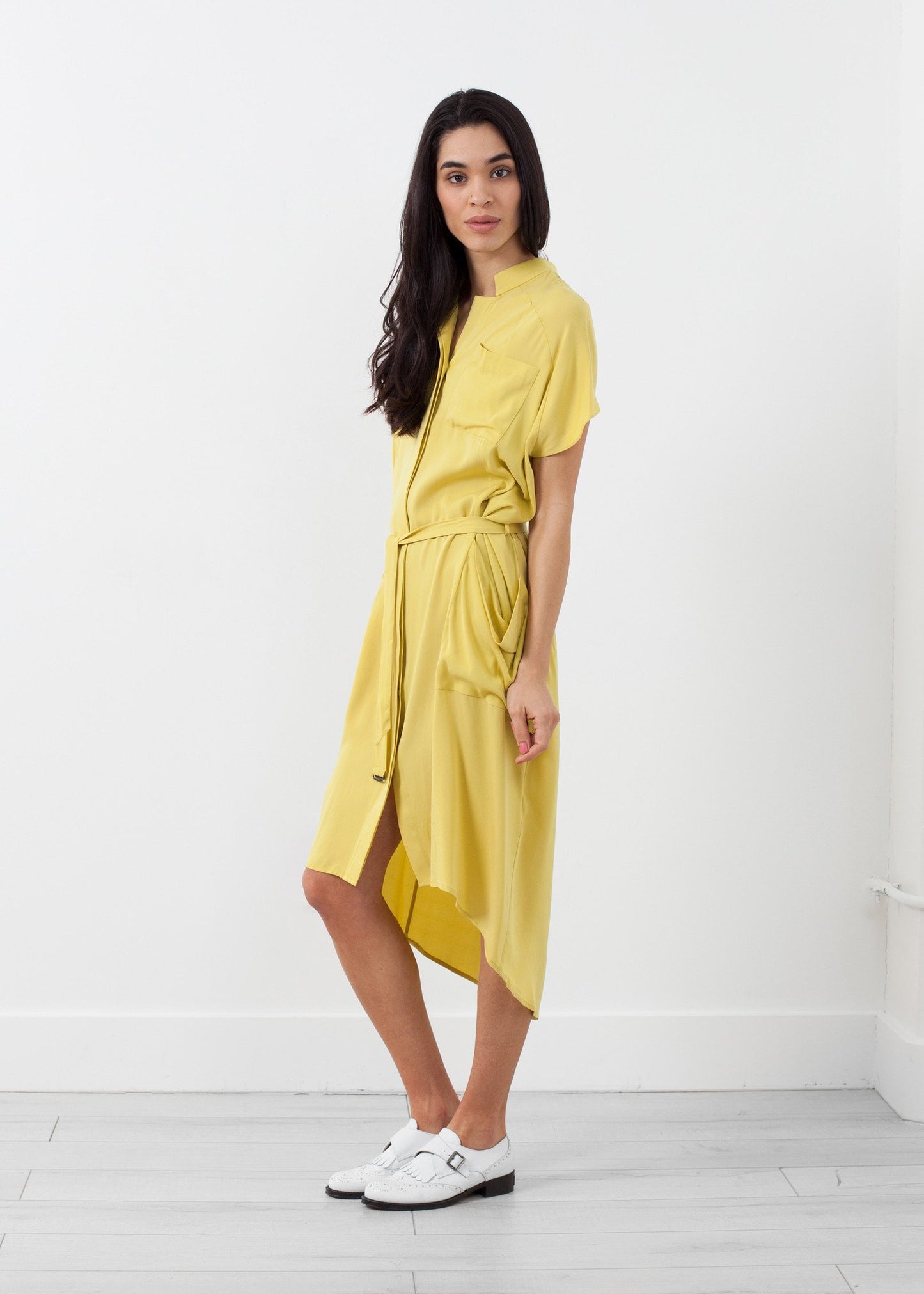Ultime Silk Shirt Dress Schai