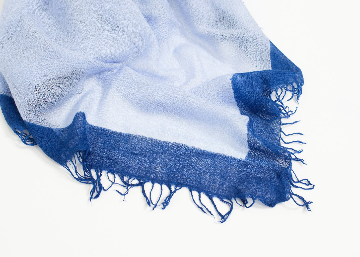 Erik Scarf Faliero Sarti