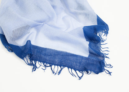 Erik Scarf Faliero Sarti