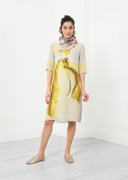 Buttercup Dress Antoni & Alison