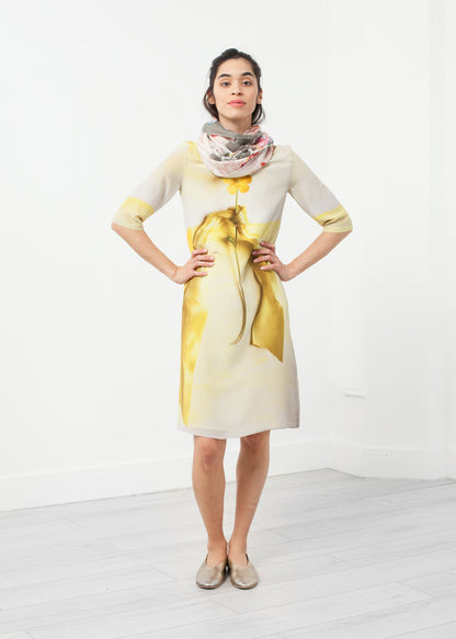 Buttercup Dress Antoni & Alison