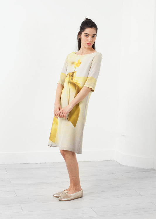 Buttercup Dress Antoni & Alison