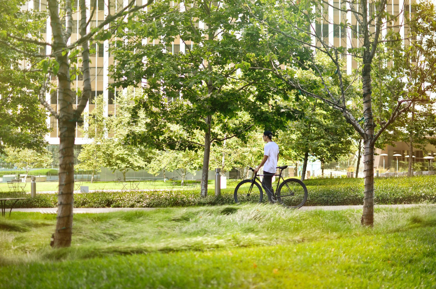 Siva Juliet Pure Fix Cycles