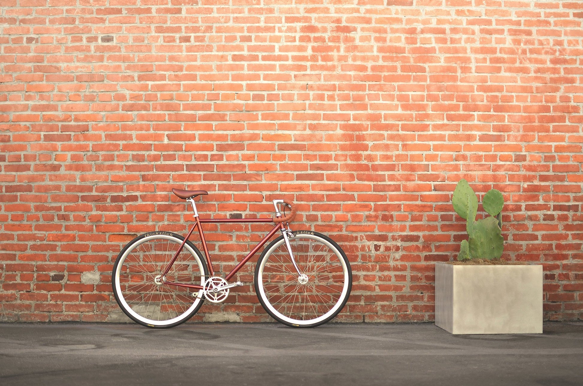 Roosevelt Pure Fix Cycles