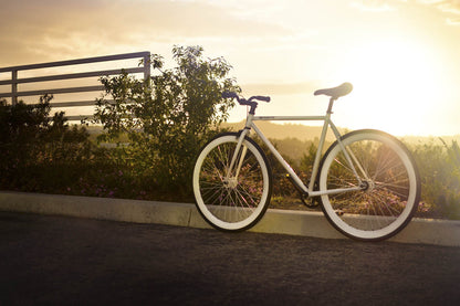 Zulu Pure Fix Cycles